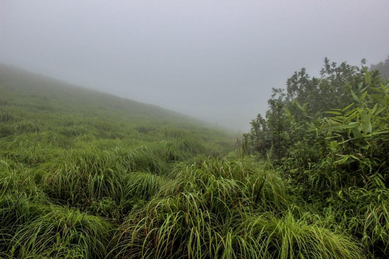 7Th Heaven Kannur Chakkarakkal المظهر الخارجي الصورة